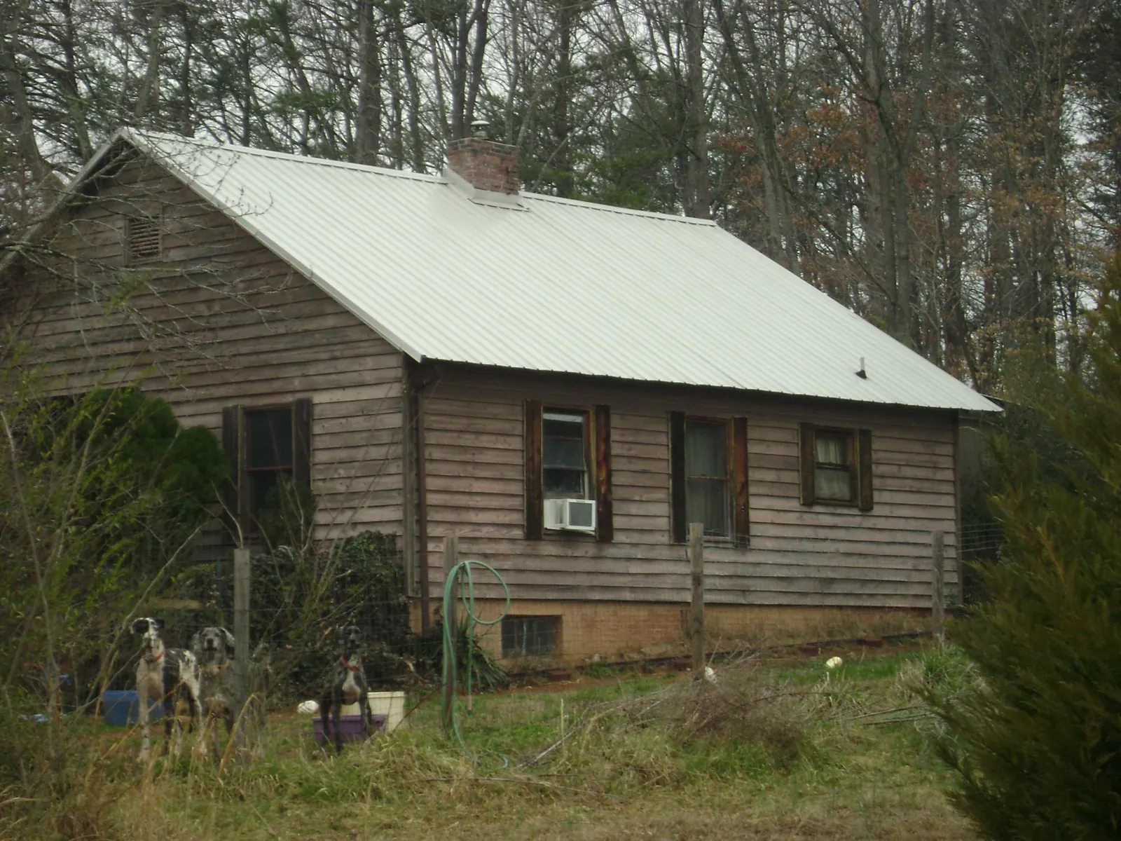 White metal roof on an old wood sided farmhouse, from a Metal Roof Installation job in Index